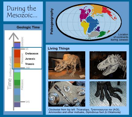 Mesozoic Era Timeline And Important Facts