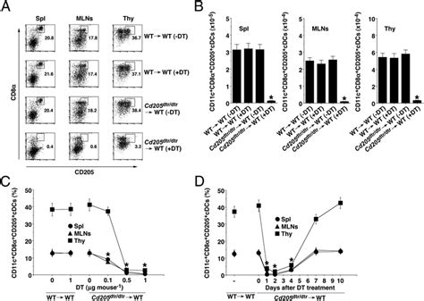 Conditional Ablation Of Cd Cdcs In Cd Dtr Dtr Mice A And B