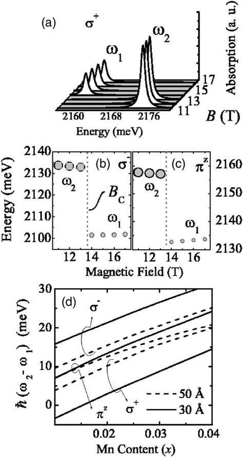 A Interband Absorption Spectra For Polarization At B B C 2 And B B C