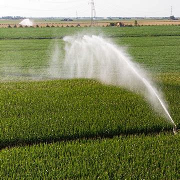 Agricultura Irrigada Conhe A As Principais Estrat Gias E Desafios