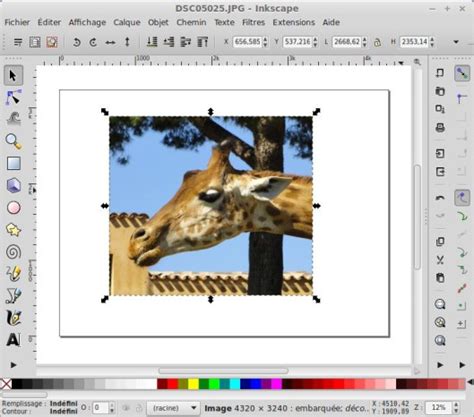 Recorte Una Foto O Imagen Con Inkscape