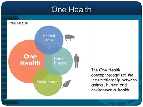 Biosafety And Biosecurity Overview Naypyitaw Ppt