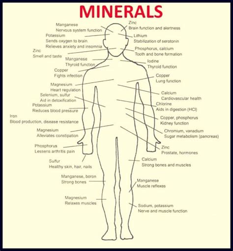 The Importance Of Minerals To Health Dance Health Fitness