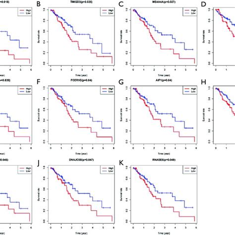 Overall Survival Of Esophageal Cancer Patients In Different Expression Download Scientific