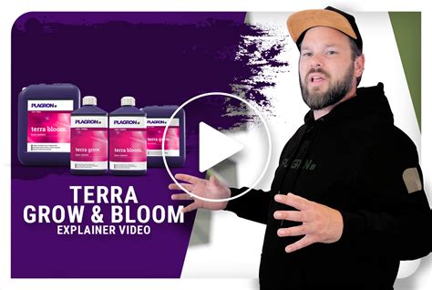 Terra Grow Complete Mineral Base Nutrient For The Grow Phase Of Plants