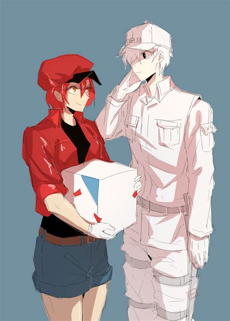 1 Hataraku Saibou Tumblr Parejas De Anime Anime Y Tumblr