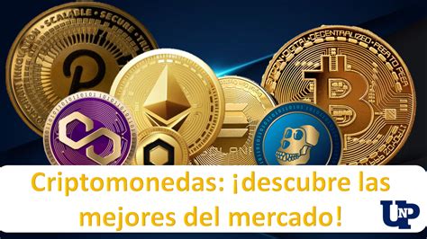 Criptomonedas ¡descubre Las Mejores Del Mercado 🥇 【 Febrero 2024】