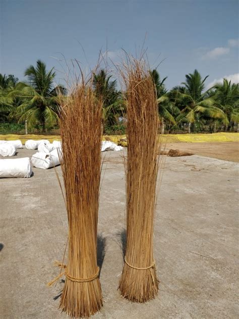 Karur Coco Brooms At Rs 55 Kg Coconut Brooms In Theni ID 21343903448