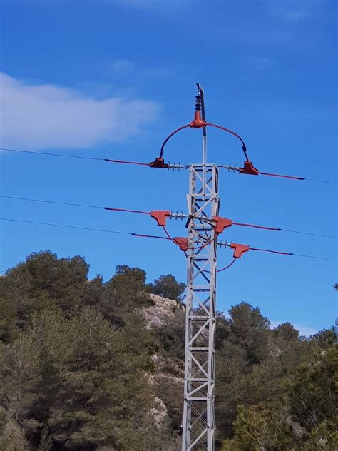 Endesa Instala Dispositivos Para Proteger La Avifauna En Terres De L