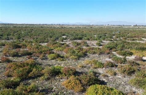 Terreno En Venta En Partida Daimes La Hoya Daimes El Derramador Elche