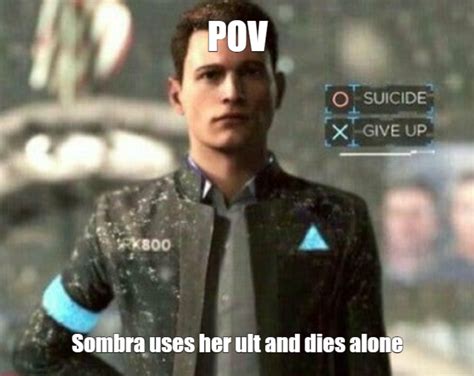Most Frustrating Thing Roverwatchmemes