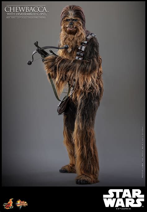 Chewbacca With Disassembled C 3PO Sixth Scale Figure By Hot Toys Sideshow Collectibles
