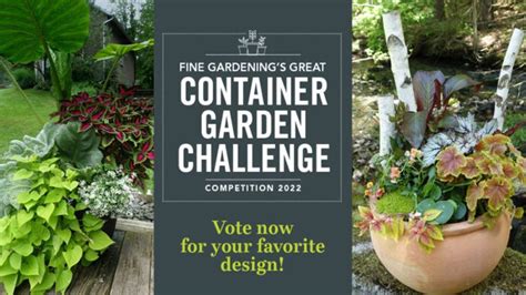 Fine Gardenings Great Garden Container Challenge Fine Gardening