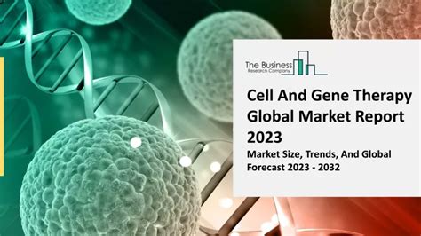 PPT Cell And Gene Therapy Market Report 2032 Size Overview