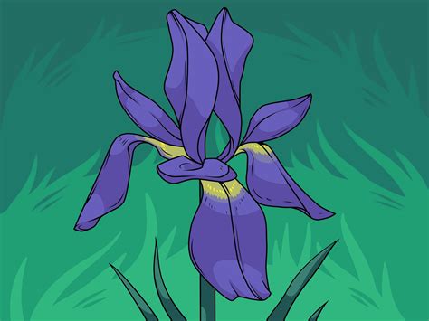 How To Draw Flowers Easy Step By Step For Beginners Easy Drawing