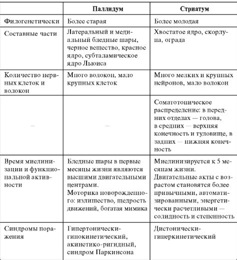 Строение и функции стриопаллидарной системы