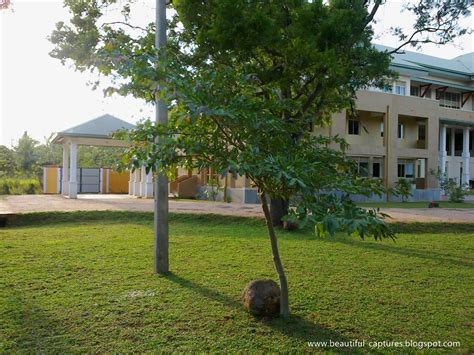 Beautiful Captures New Look Of Rajarata University