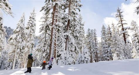 Snowshoeing near Mammoth Lakes: Tips and Trails | Visit Mammoth