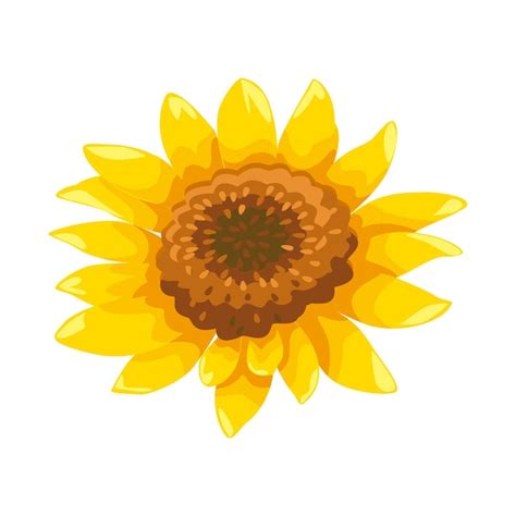 Illustration Vectorielle De Vecteur De Tournesol Vecteur Premium