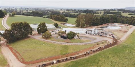 Ellinbank SmartFarm To Become The First Carbon Neutral Grazing Dairy