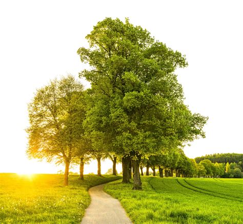 Understanding Funeral Pricing - Reeder-Davis Funeral Home
