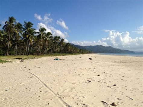 White Sand Sunset Beach Lot For Sale Binga San Vicente Palawan