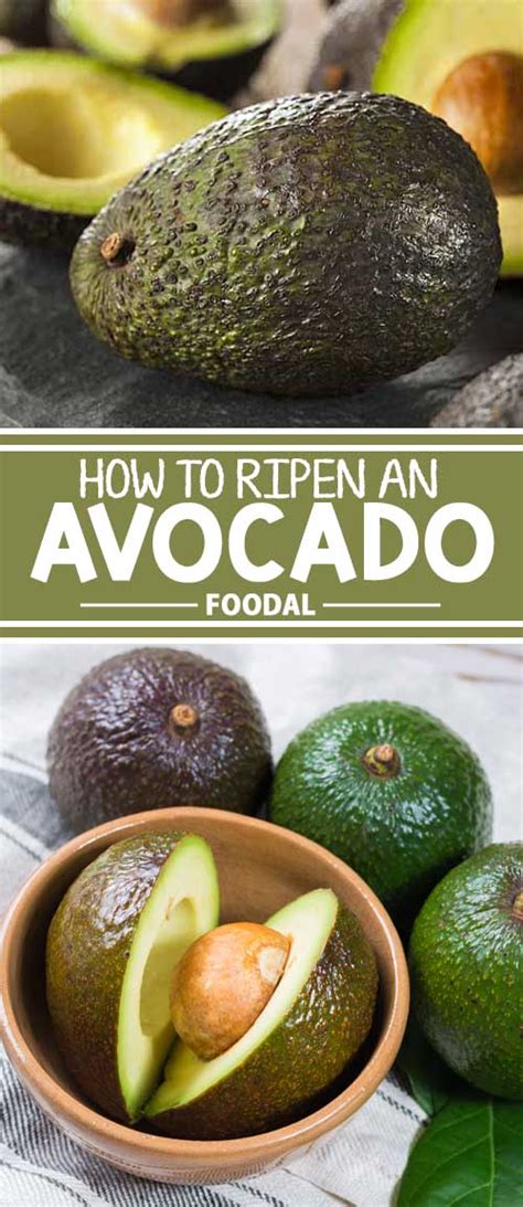 How To Ripen an Avocado - Tips and Tricks | Foodal