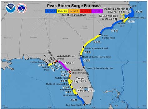 No Big Deal Its Just A Hurricane Florida Men Paddle Inflatable Duck