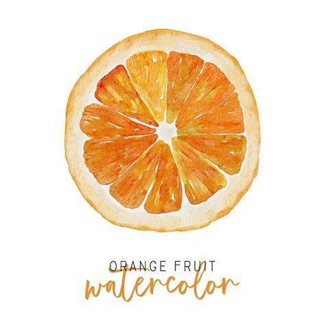 Ilustraci N De Fruta Naranja Acuarela Vector Premium