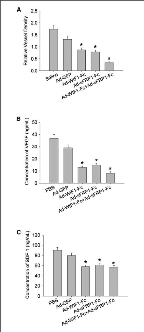 Inhibition Of Tube Formation And Migration Of HMVEC And EPC By