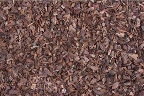 Playground Bark Indoor And Outdoor Play Area Bark Chippings