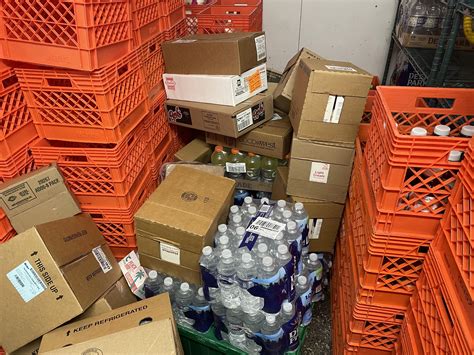 What to expect when choosing carson mclane 15