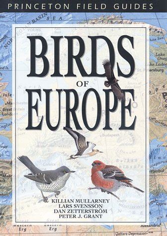 Birds Of Europe Princeton Field Guides Amazon Co Uk Svensson Lars