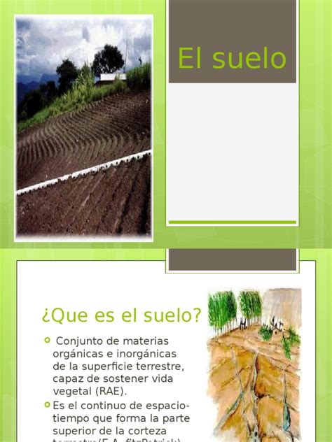 PDF Clase De Fisiologia Vegetal DOKUMEN TIPS