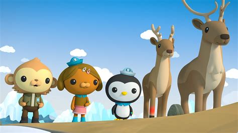 Octonauts Above Beyond Series Land Of Fire And Ice Bbc Iplayer