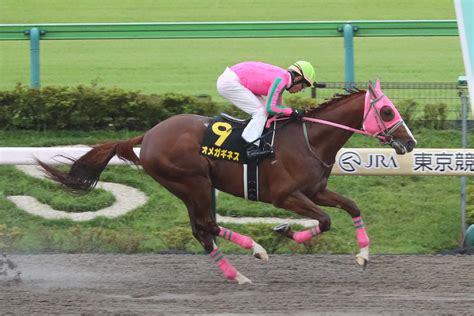 【勝羽の日曜競馬コラム・フェブラリーs】 日刊ゲンダイ競馬