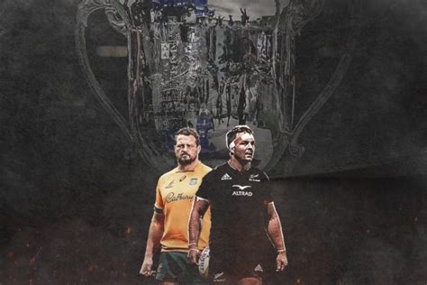 Wallabies All Blacks Bledisloe Cup 2024 Fixtures Draw