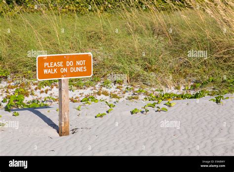 Keep Off Dunes Sign In Florida Stock Photo Alamy