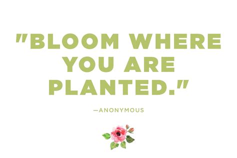 Flower Quotes 12 Calming Thoughts On Flowers Readers Digest