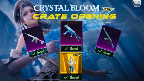 New Crystal Bloom Crate Opening New Glacier Ump Crate Opening