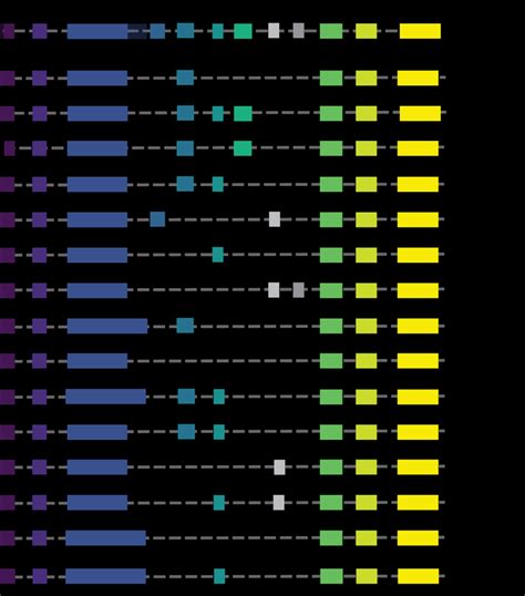 1 Meg3 Gene Structure And Known Splicing Isoforms Graphic