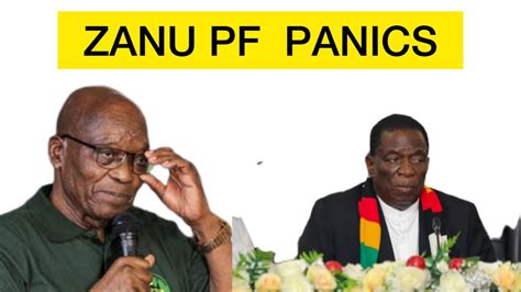 Chachaya ZANU PF PANIC Over Zuma And ANC In 2024 YouTube