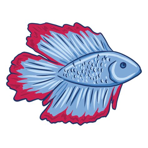 Betta Png Designs For T Shirt And Merch