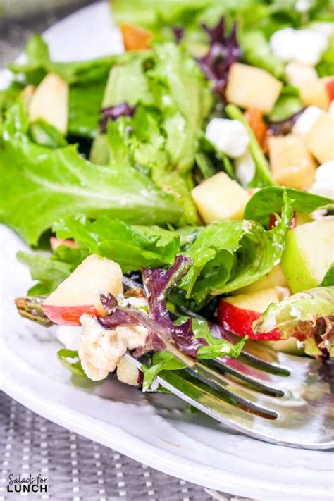 17 Healthy Salads for Lunch » Salads for Lunch