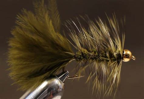 Beginner Fly Tying 11 Woolly Bugger Fly Life Magazine