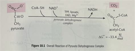 Biochemistry Review CHP 10 Carbohydrate Metabolism II Aerobic