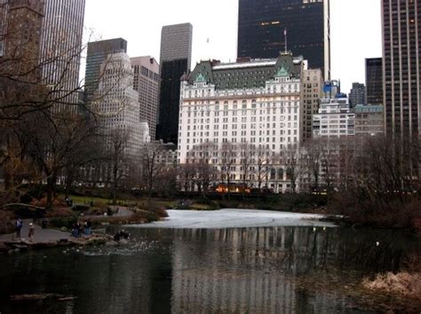 New York - The Palace Hotel | New york travel, Luxury lifestyle travel, New york city