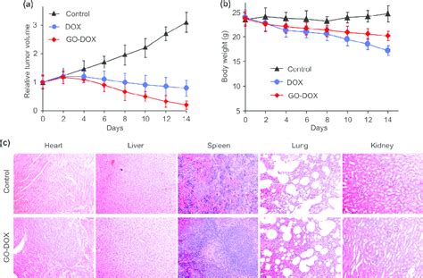 A Relative Tumor Volume Of Untreated And Dox And Go Dox Treated Mice