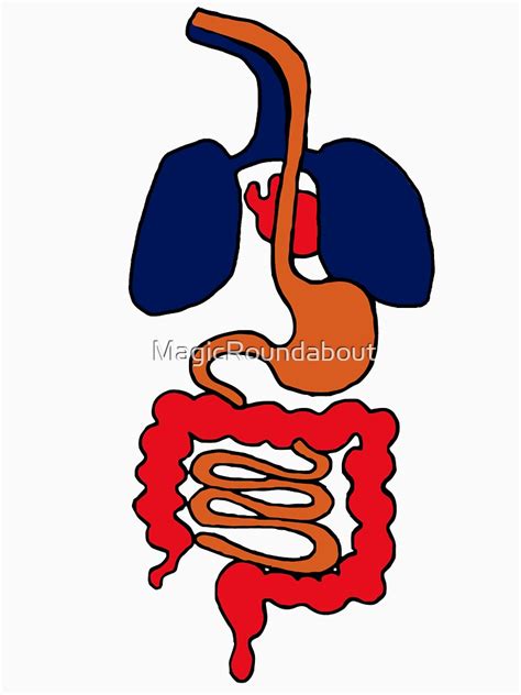 "Funny digestive system. Cartoon version" T-shirt for Sale by MagicRoundabout | Redbubble ...