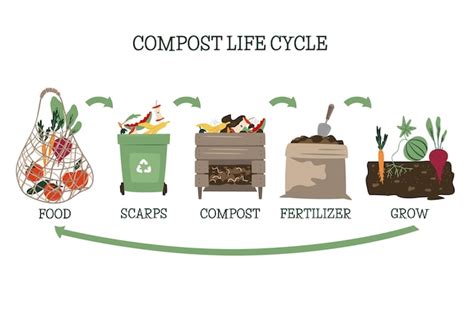 Infografía del círculo de vida del compost Proceso de compostaje